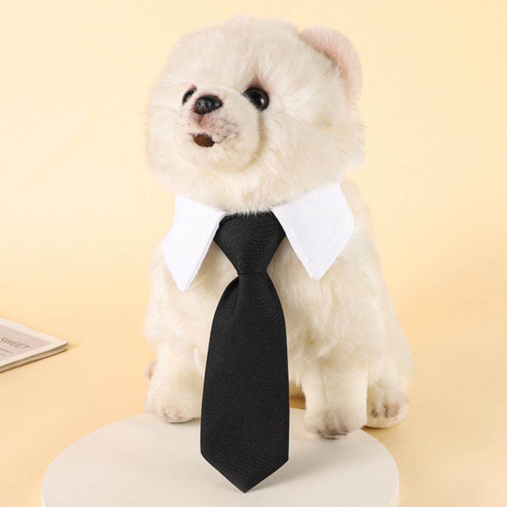 13–27 cm formelle Hunde-Smokin – Suitsupply Wedding Tuxedo Bewertung und Preis