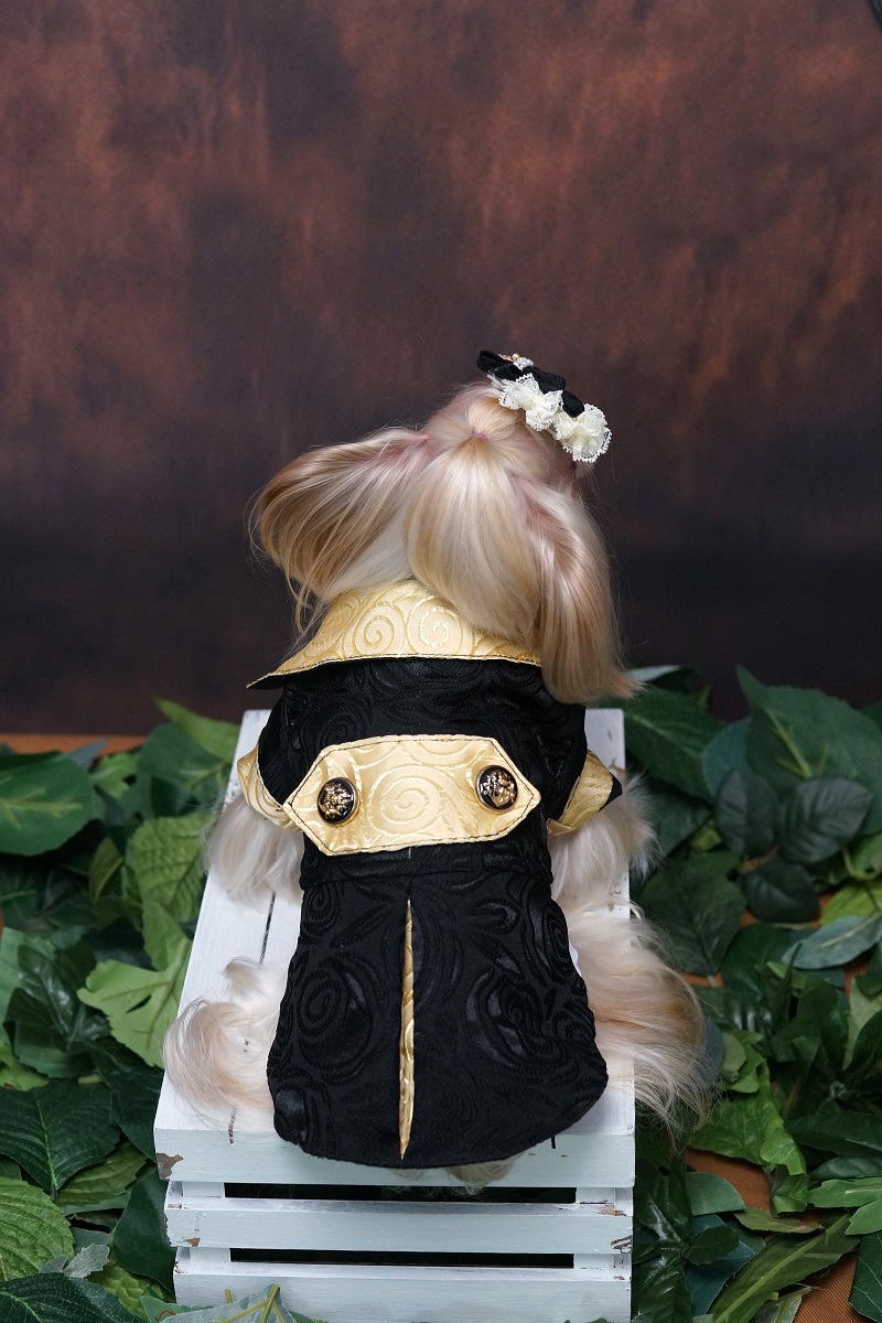 Handgefertigte Hundekleidung,  – Suitsupply Wedding Tuxedo Bewertung und Preis