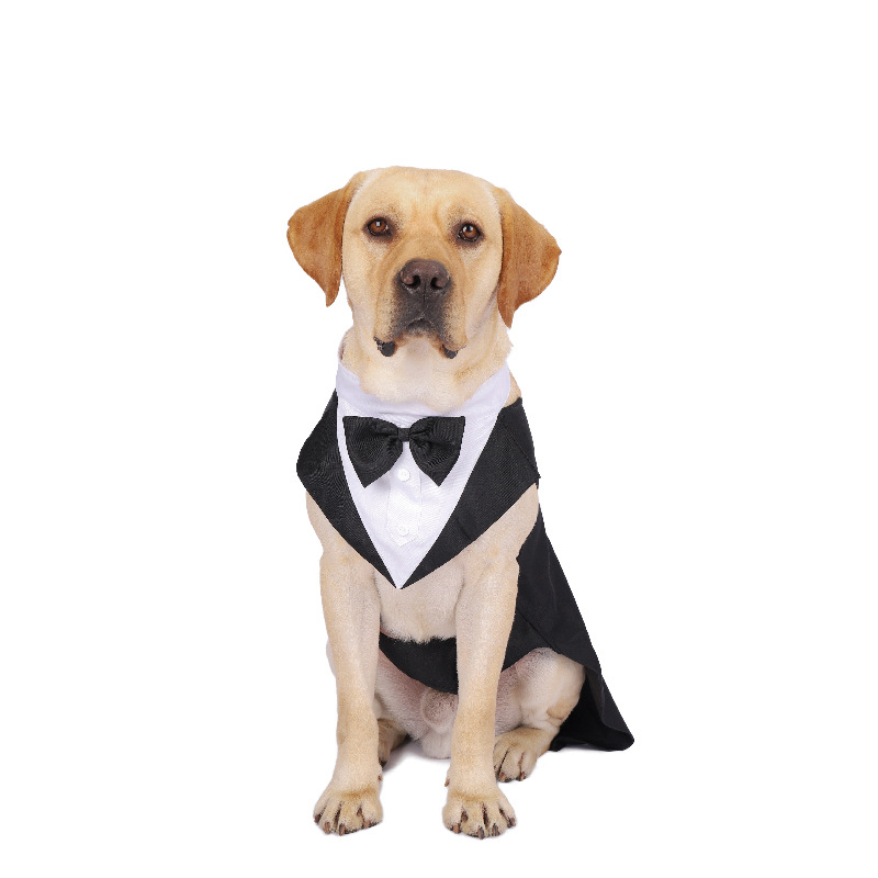 Haustier-Hundekleidung, modisc – Suitsupply Wedding Tuxedo Bewertung und Preis