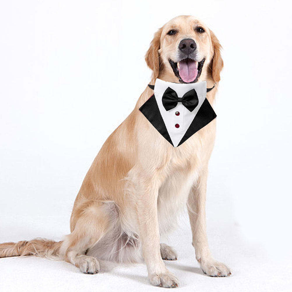 1 Set Hundeanzug und Bandana,  – Suitsupply Wedding Tuxedo Bewertung und Preis
