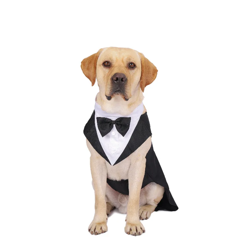 Haustier-Hundekleidung, modisc – Suitsupply Wedding Tuxedo Bewertung und Preis