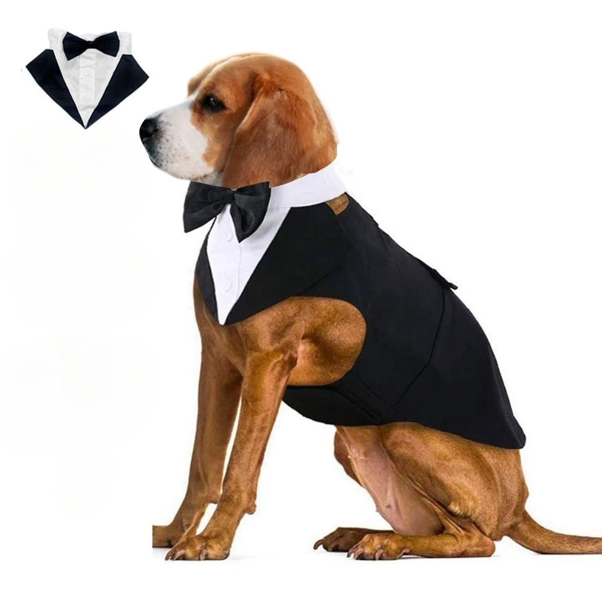 Hundekleidung: Modischer Party – Suitsupply Wedding Tuxedo Bewertung und Preis